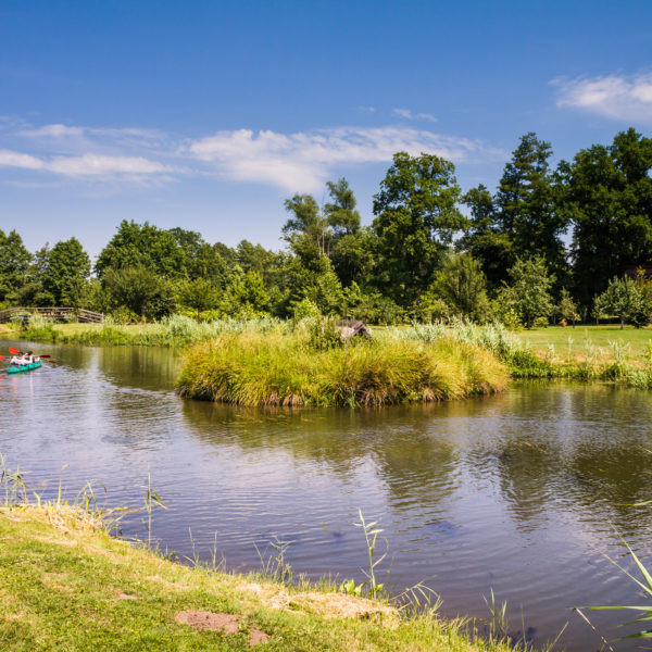 Das Bild zeigt einen Fluss unter einem strahlend blauen Himmel mit wenigen weißen Wolken. Im Hintergrund sieht man nur Natur, eine Wiese, Pflanzen am Wasserrand und große, grüne Bäume. Auf dem Fluß fährt jemand ein Kanu.