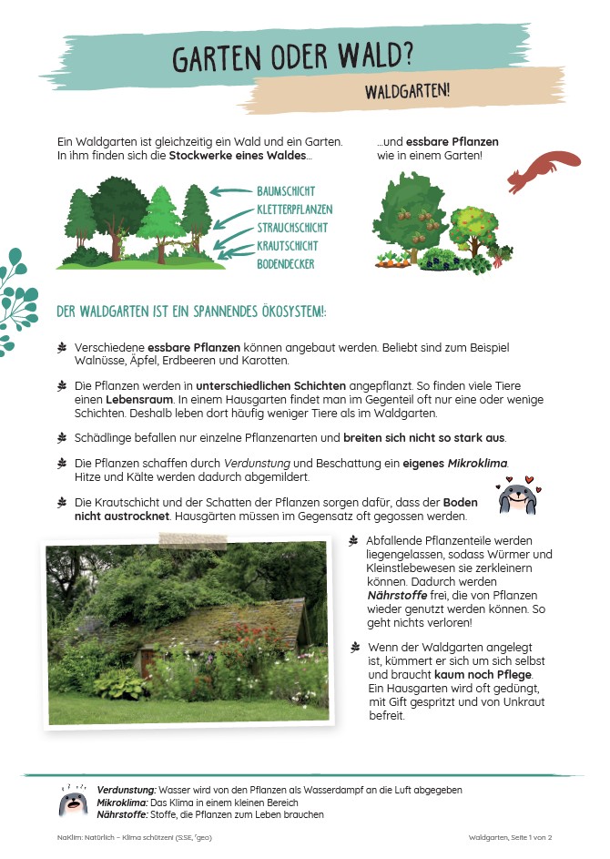 Garten-oder-Wald_Waldgarten